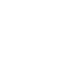 found-icon